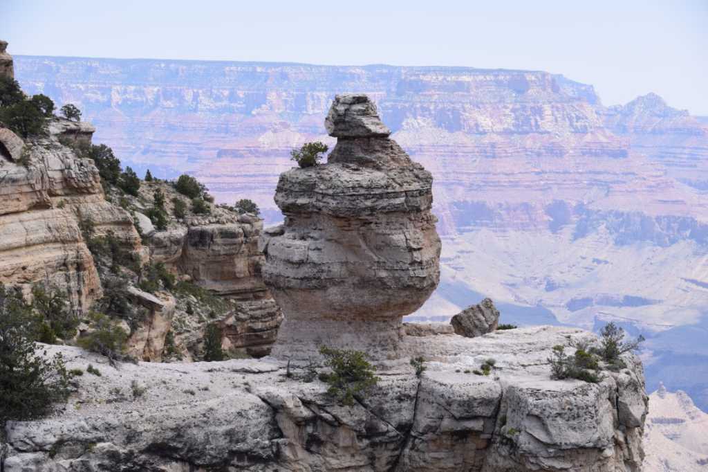 DSC_0149Mittel_.JPG